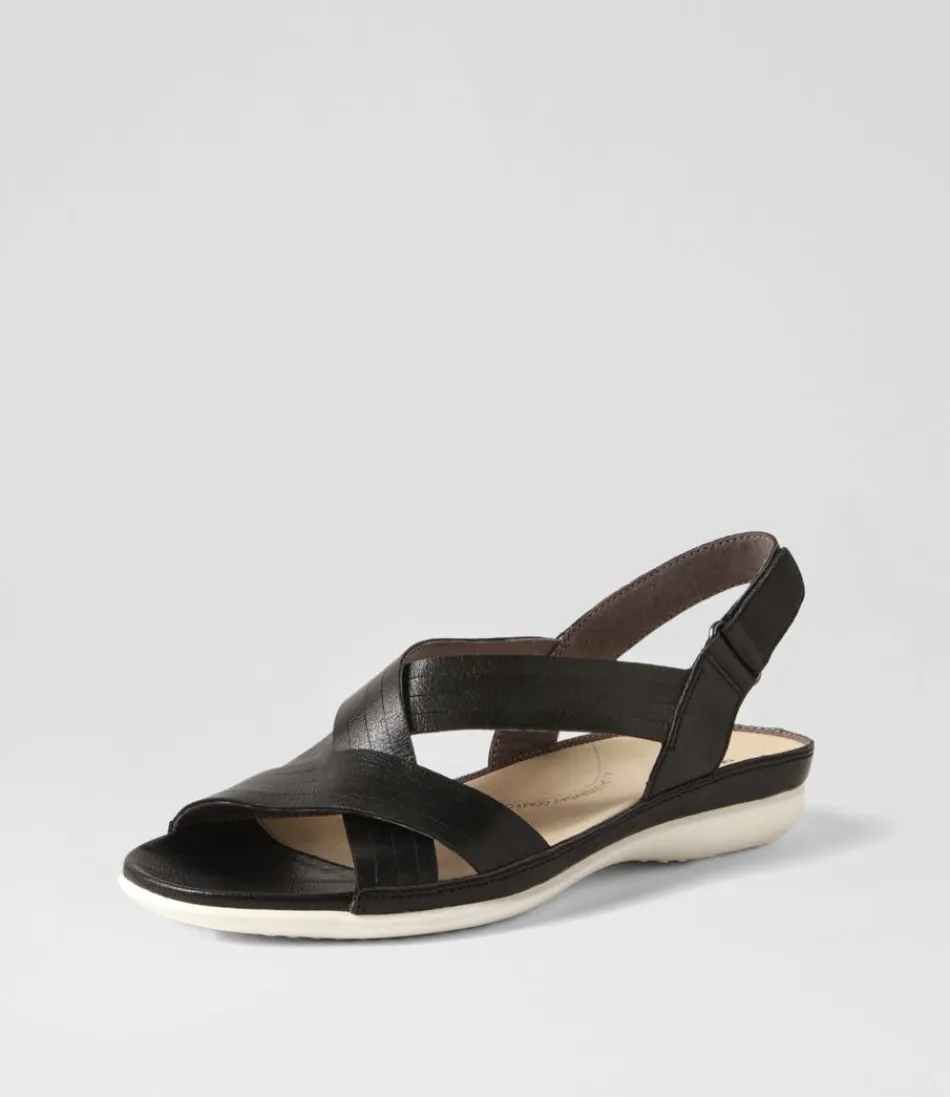 Women ZIERA Flats<Bellmont W Black Leather Sandals