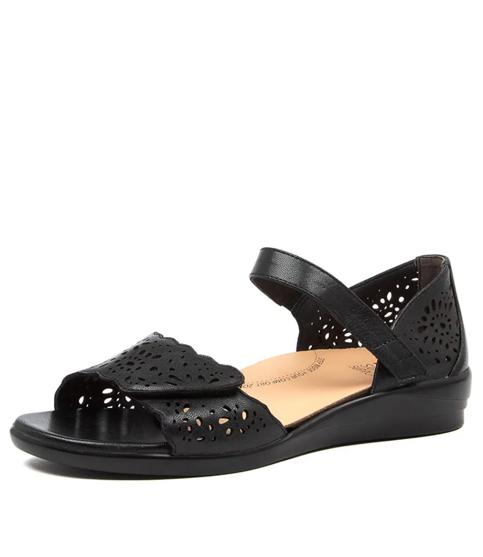 Women ZIERA Comfort<Dusty W Black Leather